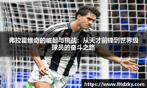 弗拉霍维奇的崛起与挑战：从天才前锋到世界级球员的奋斗之路