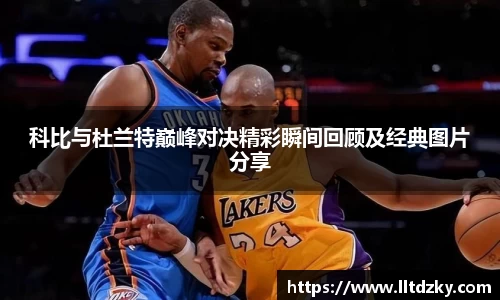南宫28官网